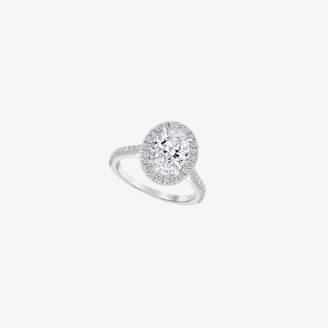Solitaire Ovale Avec Halo en or blanc serti de diamants – Maison Paillard