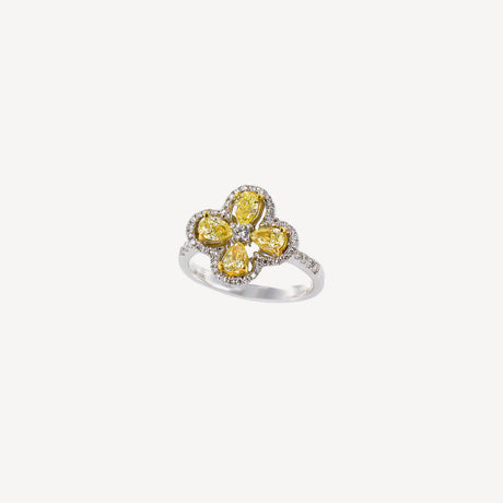 Solitaire Louane en or blanc serti de diamants – Maison Paillard